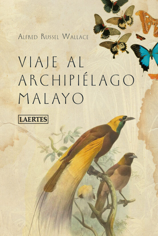 VIAJE AL ARCHIPIÉLAGO MALAYO 1