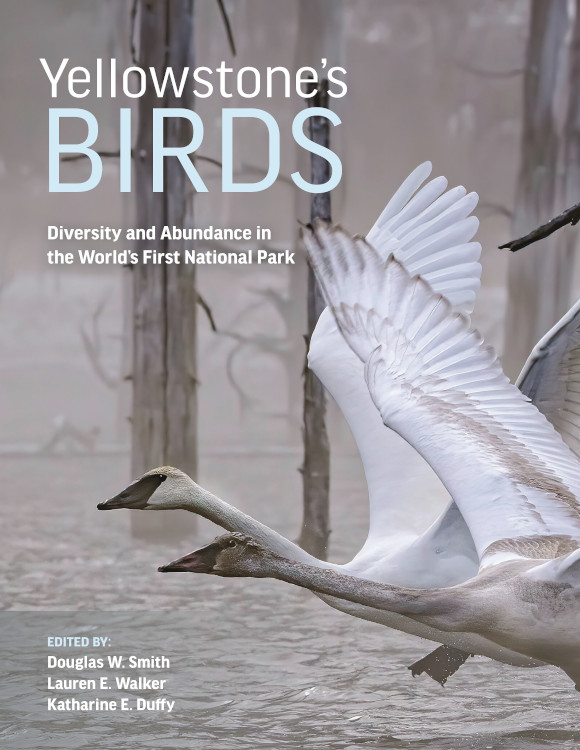 YELLOWSTONE'S BIRDS: DIVERSITY AND ABUNDANCE IN THE WORLD'S FIRST NATIONAL PARK