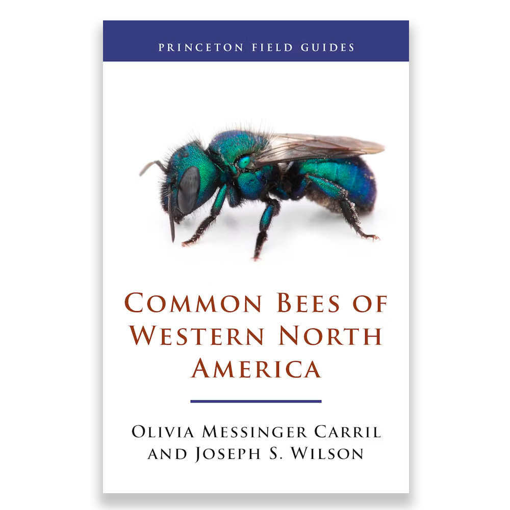 PRINCETON FIELD GUIDES COMMON BEES OF WESTERN NORTH AMERICA