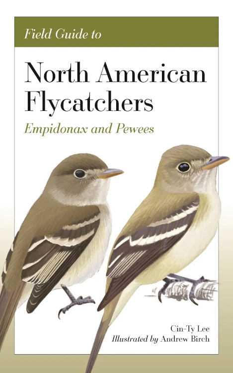FIELD GUIDE TO NORTH AMERICAN FLYCATCHERS: EMPIDONAX AND PEWEES