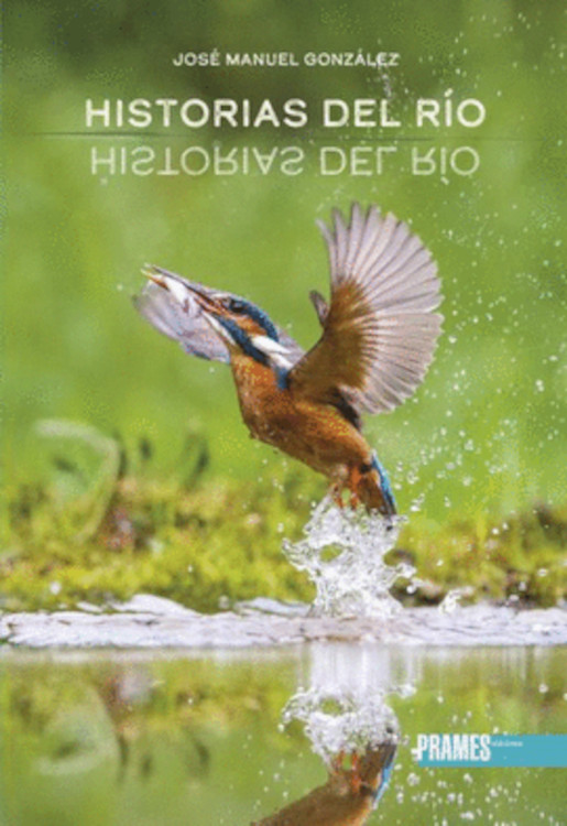 HISTORIAS DEL RÍO 1