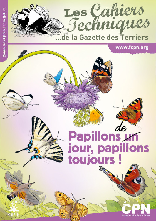 PAPILLONS DE JOUR, PAPILLONS TOUJOURS! LES CAHIERS TECHNIQUES DE LA GAZETTE DES TERRIERS