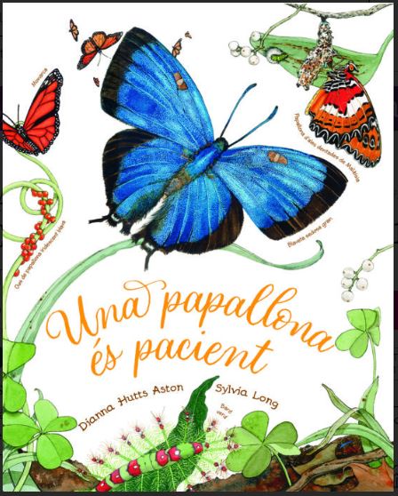 UNA PAPALLONA ÉS PACIENT 1
