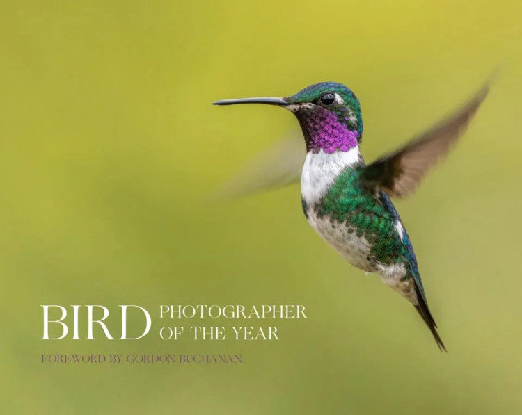 BIRD PHOTOGRAPHER OF THE YEAR. COLLECTION 8