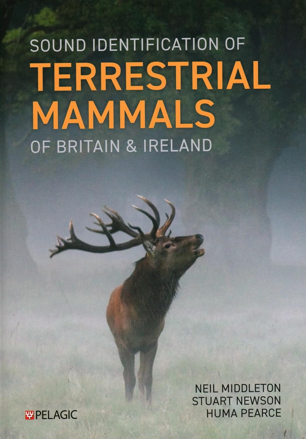 SOUND IDENTIFICATION OF TERRESTRIAL MAMMALS OF BRITAIN & IRELAND
