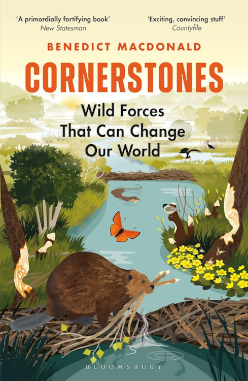 CORNERSTONES. WILD FORCES THAT CAN CHANGE OUR WORLD