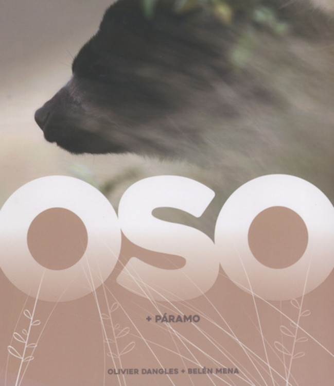 OSO + PÁRAMO 1