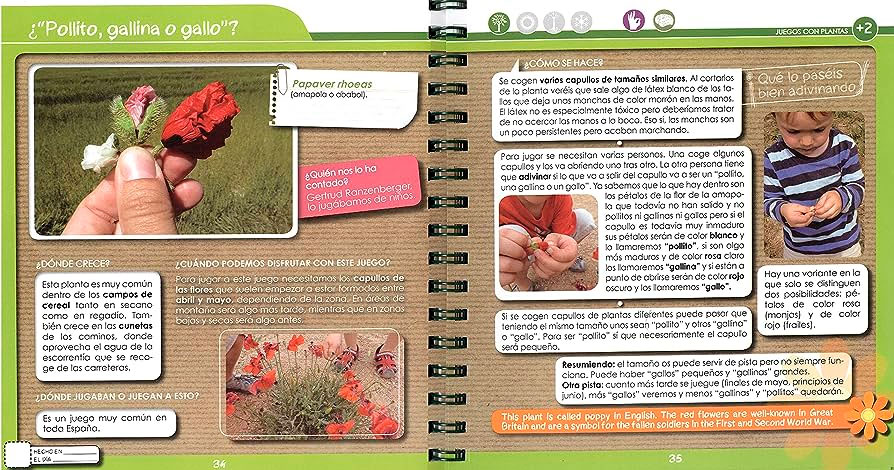 DIVIÉRTETE CON LAS PLANTAS. JUEGOS, PLANTAS MUSICALES Y MANUALIDADES 2