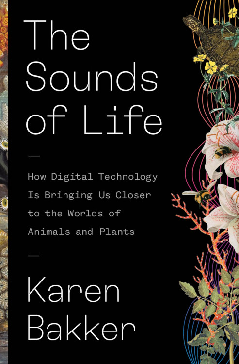 THE SOUNDS OF LIFE: HOW DIGITAL TECHNOLOGY IS BRINGING US CLOSER TO THE WORLDS OF ANIMAL AND PLANTS