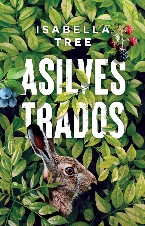 ASILVESTRADOS. EL REGRESO DE LA NATURALEZA A NUESTRAS TIERRAS
