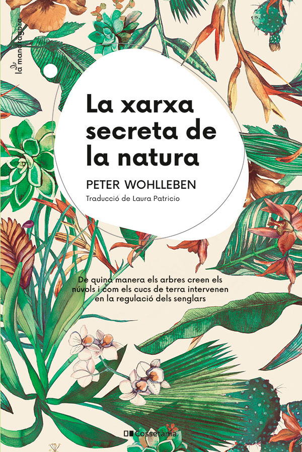 LA XARXA SECRETA DE LA NATURA. DE QUINA MANERA ELS ARBRES CREEN ELS NÚVOLS I COM ELS CUCS DE TERRA INTERVENEN EN LA REGULACIÓ DELS SENGLARS 1