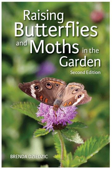 RAISING BUTTERFLIES AND MOTHS IN THE GARDEN 1