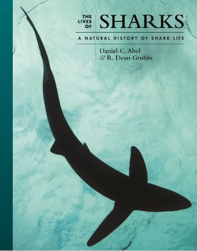 THE LIVES OF SHARKS: A NATURAL HISTORY SHARK LIFE