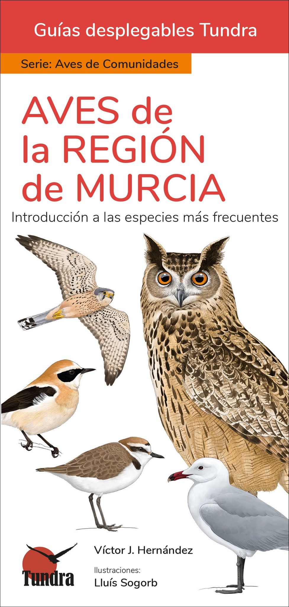 AVES DE LA REGIÓN DE MURCIA. INTRODUCCIÓN A LAS ESPECIES MÁS FRECUENTES. GUÍAS DESPLEGABLES TUNDRA
