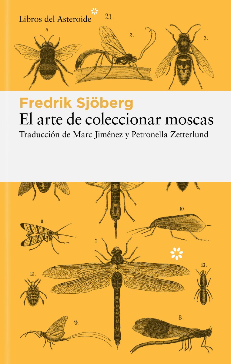 EL ARTE DE COLECCIONAR MOSCAS. UNA SORPRENDENTE MEDITACIÓN SOBRE LA FELICIDAD 1
