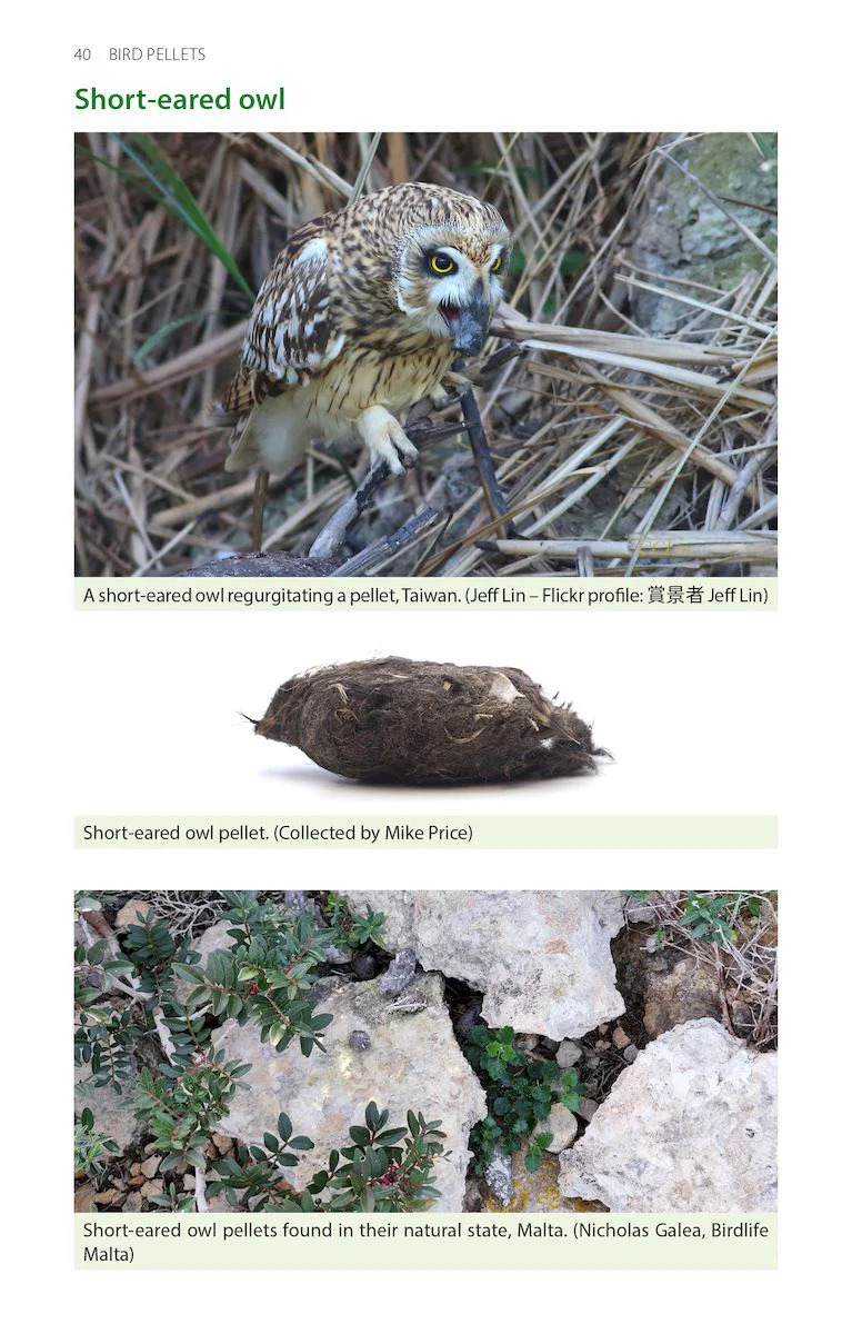BIRD PELLETS. A COMPLETE PHOTOGRAPHIC GUIDE 3