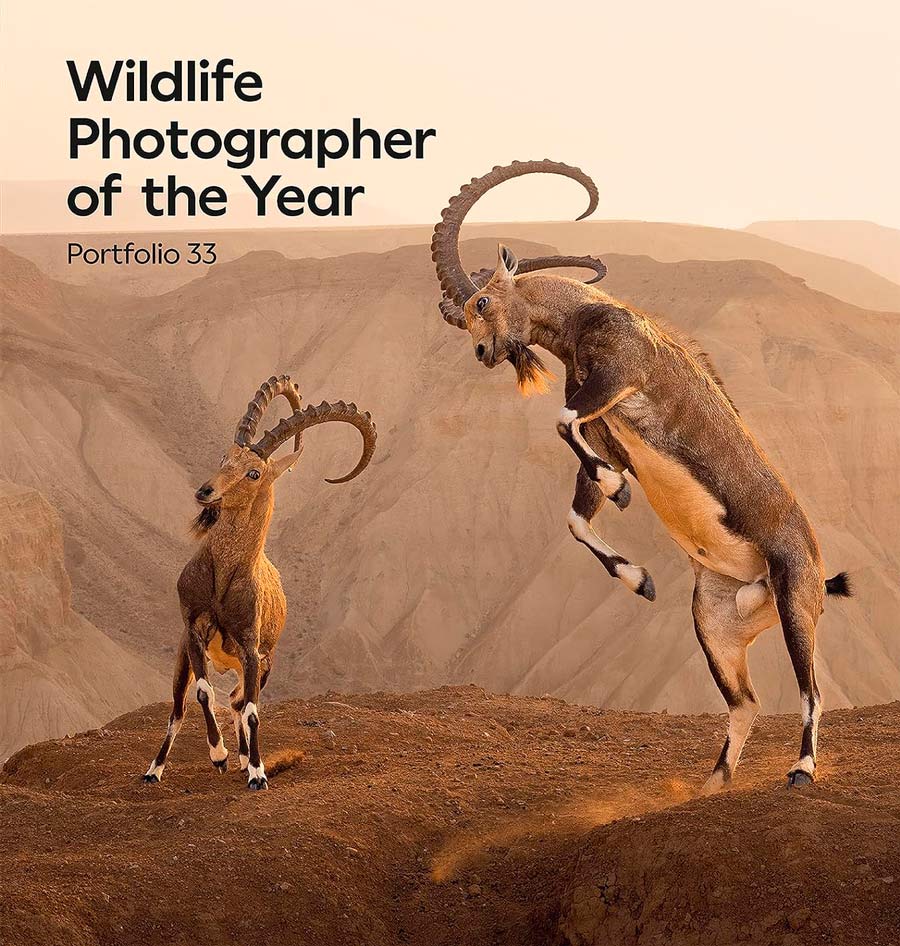 WILDLIFE PHOTOGRAPHER OF THE YEAR. PORTFOLIO 33