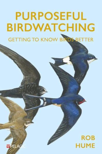 PURPOSEFUL BIRDWATCHING. GETTING TO KNOW BIRDS BETTER