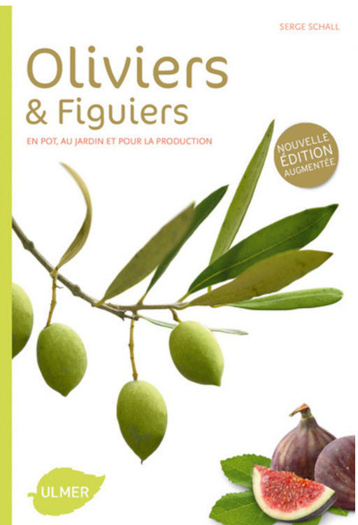 OLIVIERS ET FIGUIERS. EN POT, EN JARDIN ET POUR LA PRODUCTION