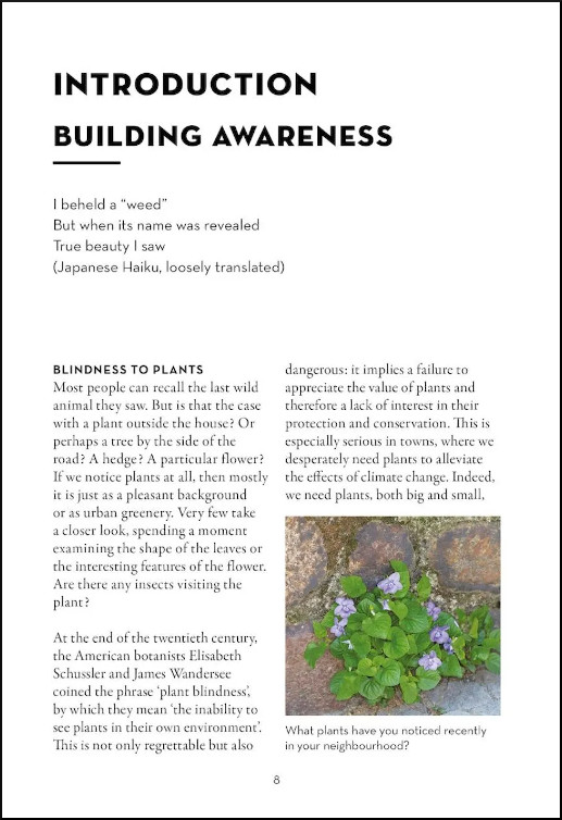 A FIELD GUIDE TO URBAN PLANTS. COMMON SPECIES OF PAVEMENTS, WALLS & WASTE GROUND 2