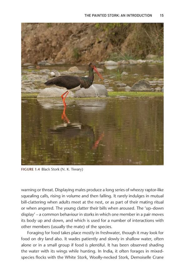 THE PAINTED STORK. EXPLORING ECOLOGY AND CONSERVATION IN INDIA 2