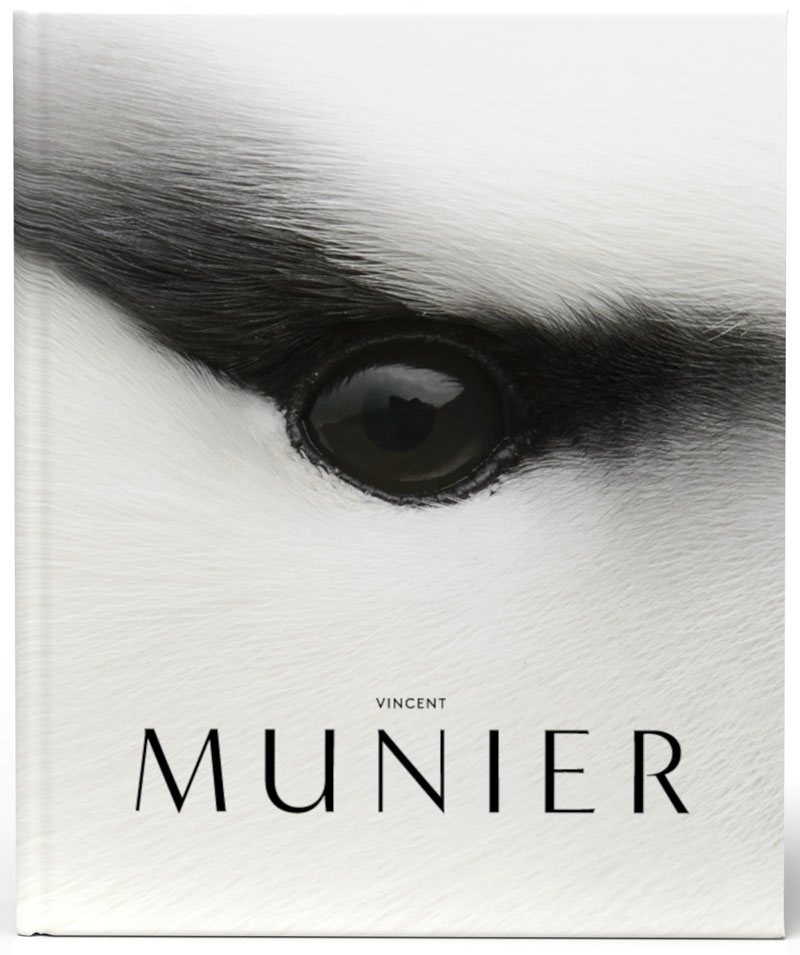 VINCENT MUNIER, THE MONOGRAPH 1