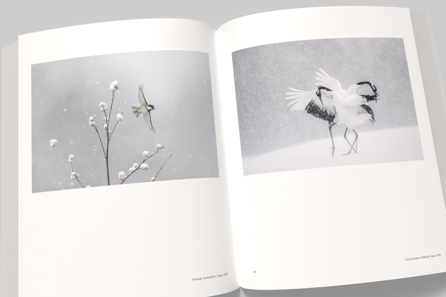 VINCENT MUNIER, THE MONOGRAPH 2