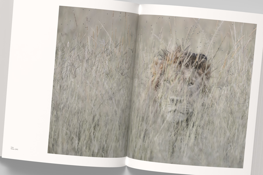 VINCENT MUNIER, THE MONOGRAPH 4