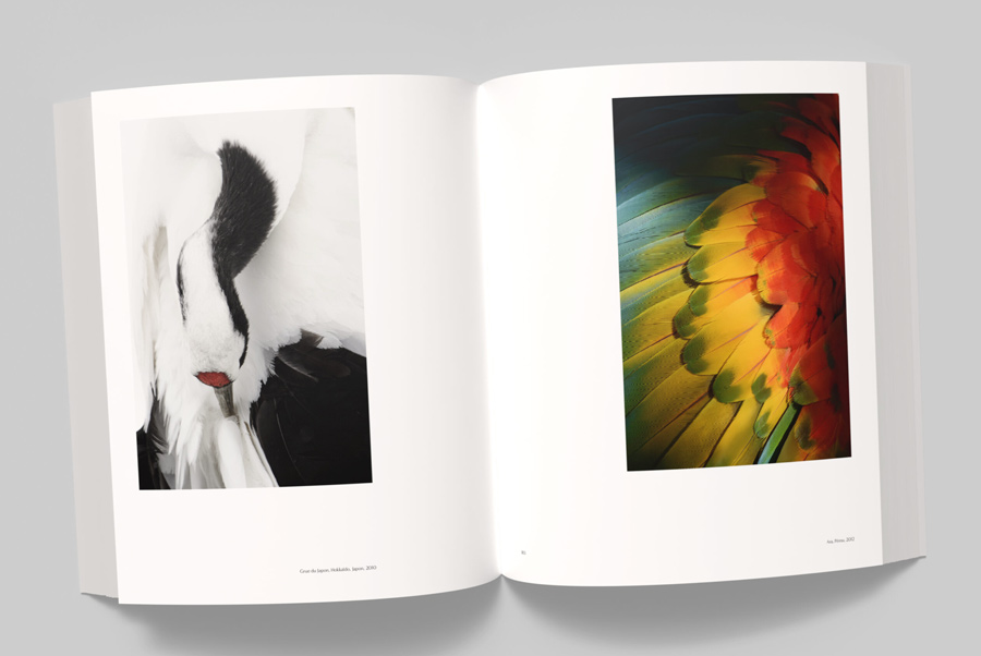 VINCENT MUNIER, THE MONOGRAPH 5
