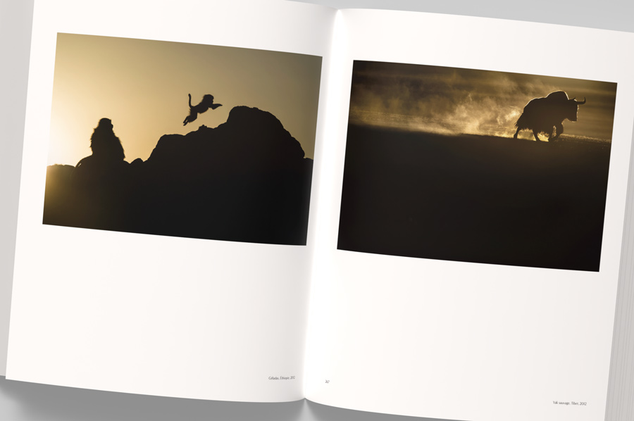 VINCENT MUNIER, THE MONOGRAPH 6