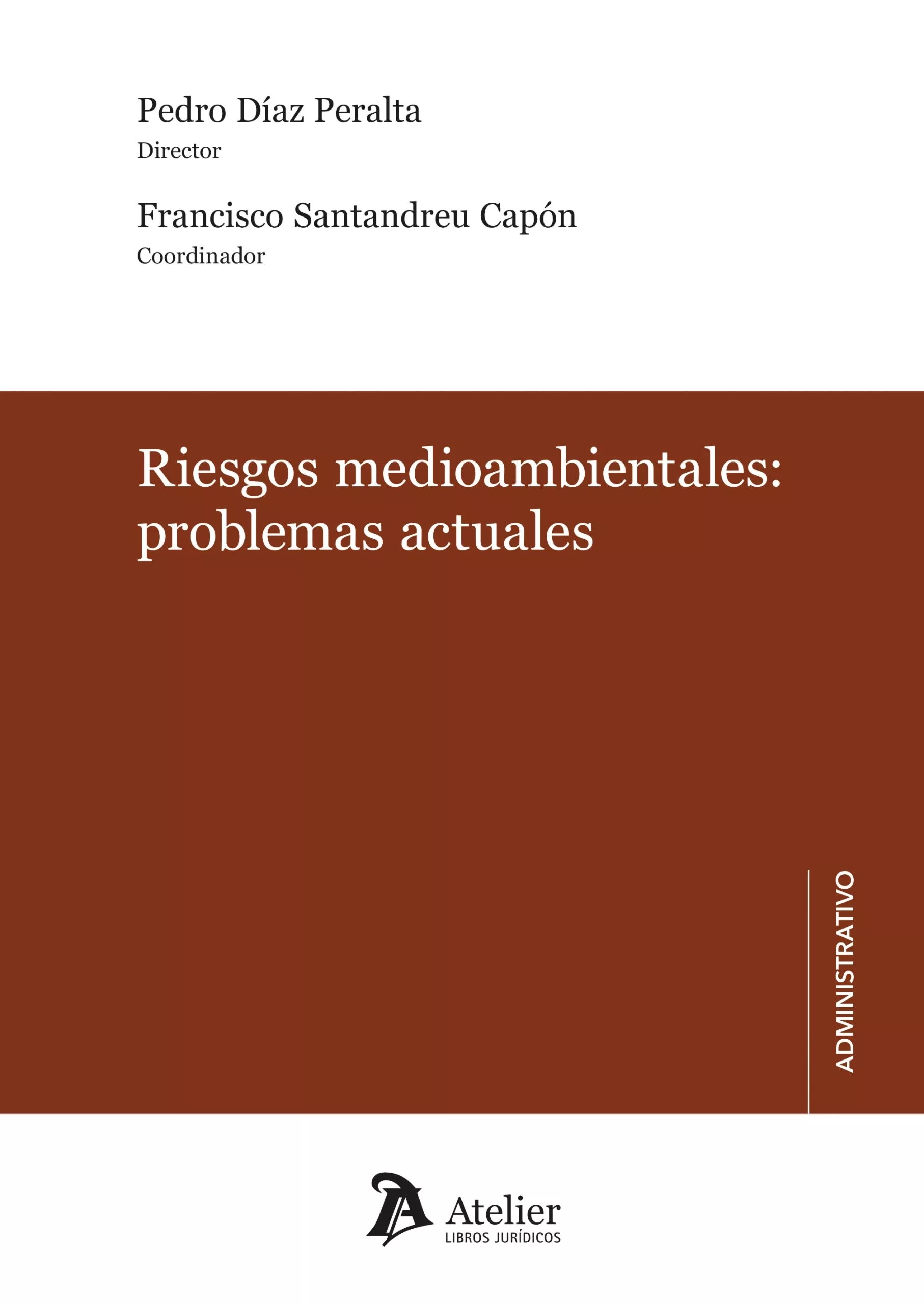 RIESGOS MEDIOAMBIENTALES: PROBLEMAS ACTUALES 1
