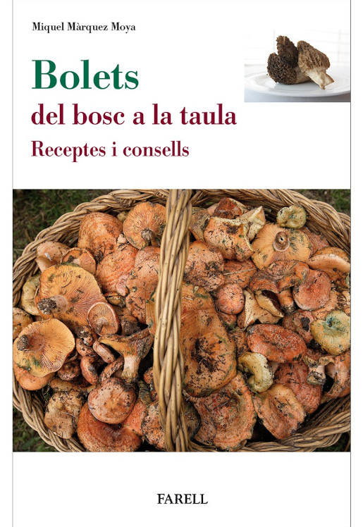 BOLETS. DEL BOSC A LA TAULA. RECEPTES I CONSELLS 1
