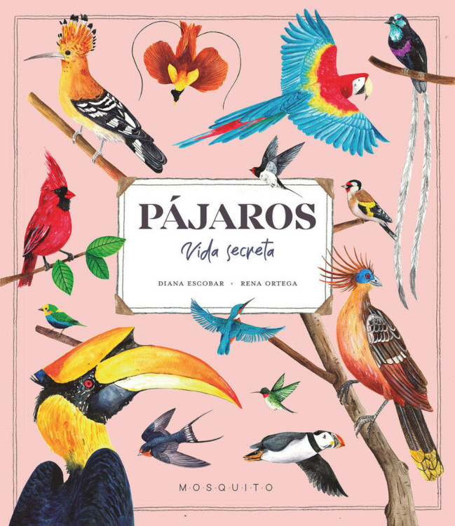 PÁJAROS. VIDA SECRETA 1