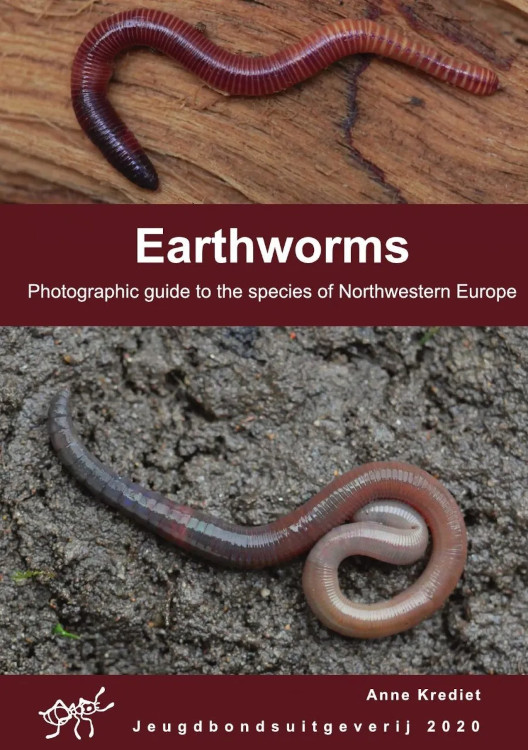 EARTHWORMS: PHOTOGRAPHIC GUIDE TO THE SPECIES OF NORTHWESTERN EUROPE