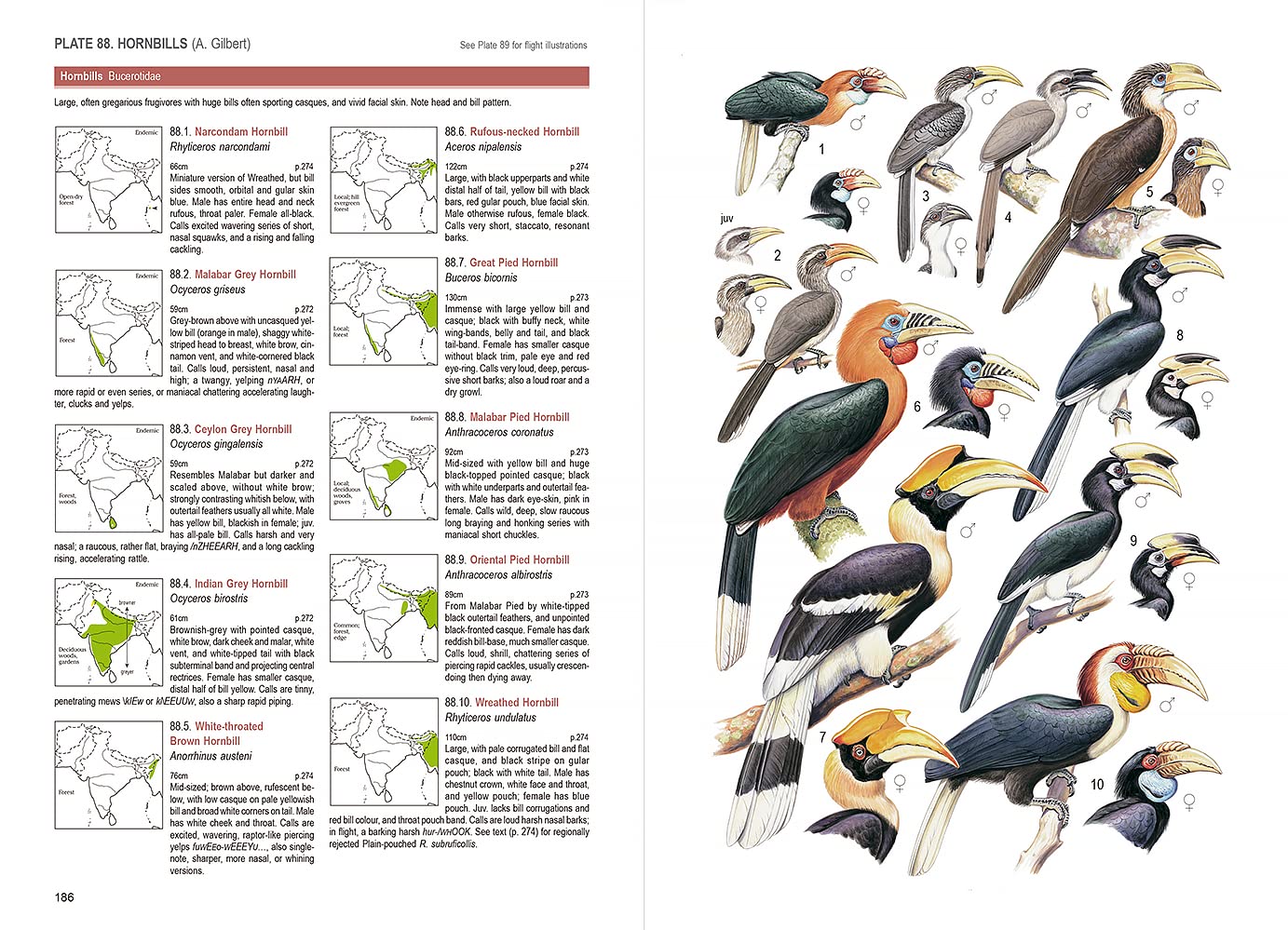 BIRDS OF SOUTH ASIA. THE RIPLEY GUIDE VOLUMEN 1 FIELD GUIDE 2
