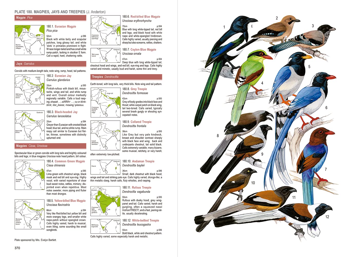 BIRDS OF SOUTH ASIA. THE RIPLEY GUIDE VOLUMEN 1 FIELD GUIDE 4