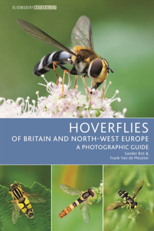 HOVERFLIES OF BRITAIN AND NORTH-WEST EUROPE: A PHOTOGRAPHIC GUIDE 1