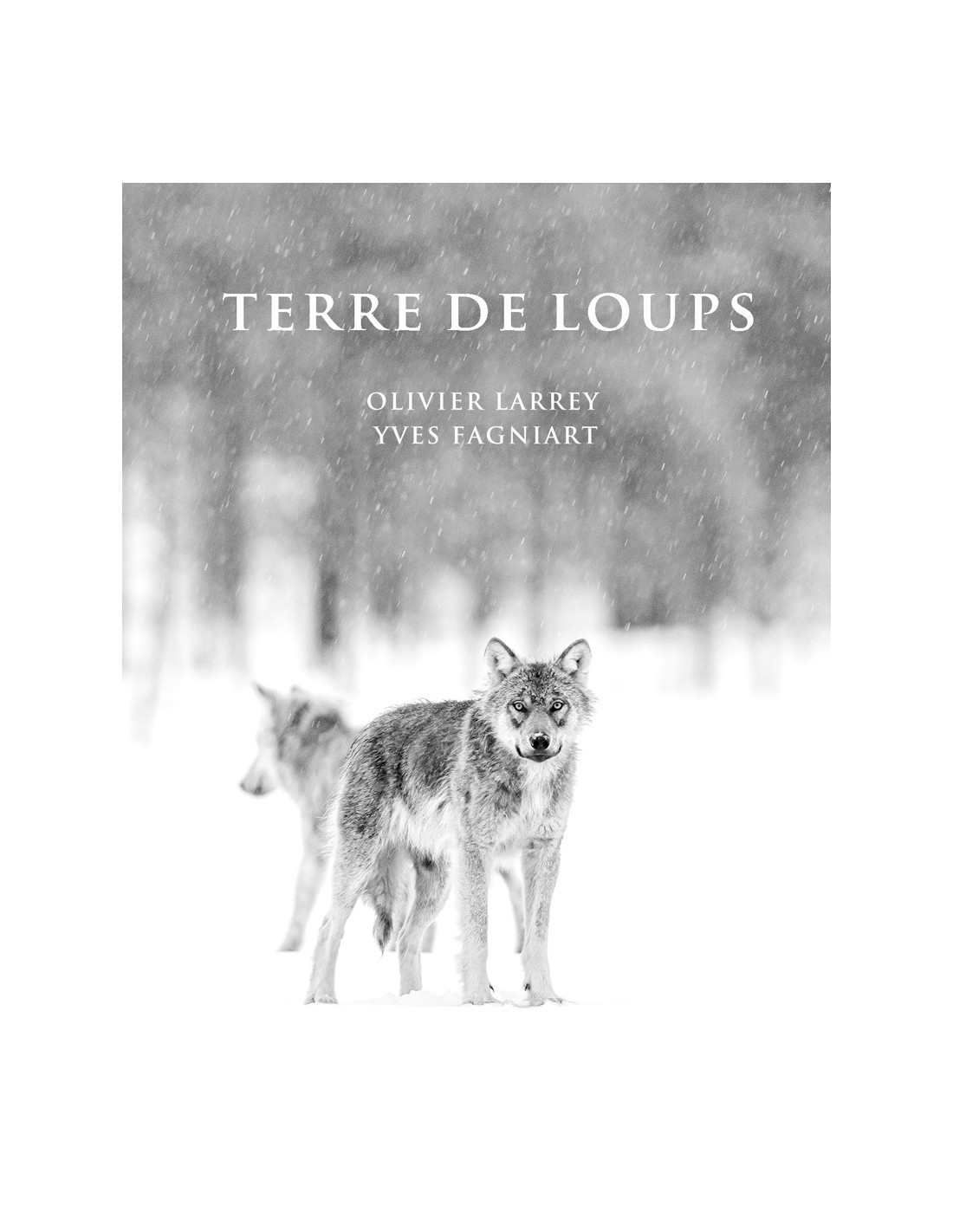 TERRE DE LOUPS