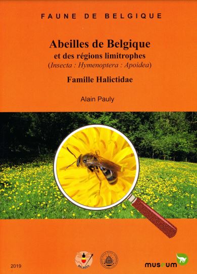 ABEILLES DE BELGIQUE ET DES REGIONS LIMITROPHIES (INSECTA: HYMENOPTERA: APOIDEA) :HALICTIDAE