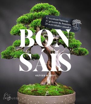 BONSÁIS. 12 ACCIONES BÁSICAS, 28 ACTIVIDADES ANUALES, 37 GENEROS DE BONSÁIS 1