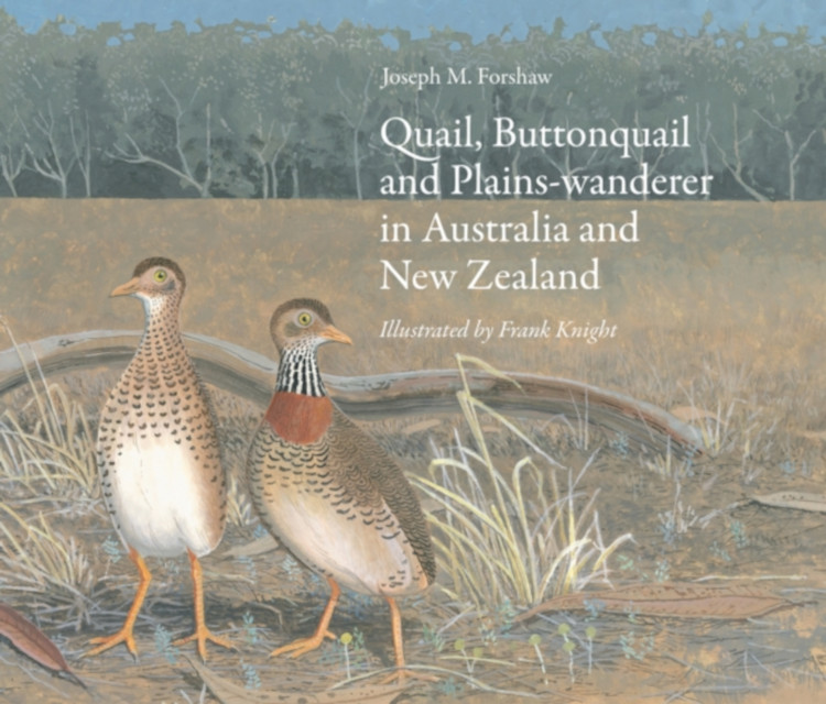 QUAIL, BUTTONQUAIL AND PLAINS. WANDERER IN AUSTRALIA