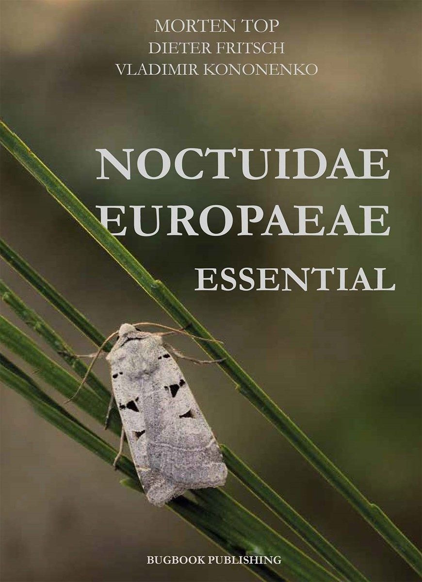 NOCTUIDAE EUROPAEAE ESSENTIAL 1