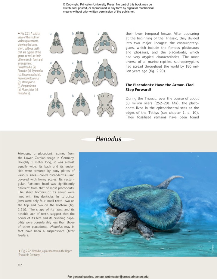 OCEAN LIFE IN THE TIME OF THE DINOSAURS 6