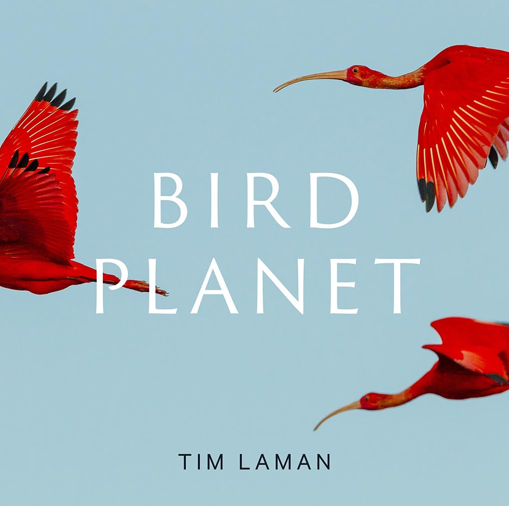 BIRD PLANET: A PHOTOGRAPHIC JOURNEY 1