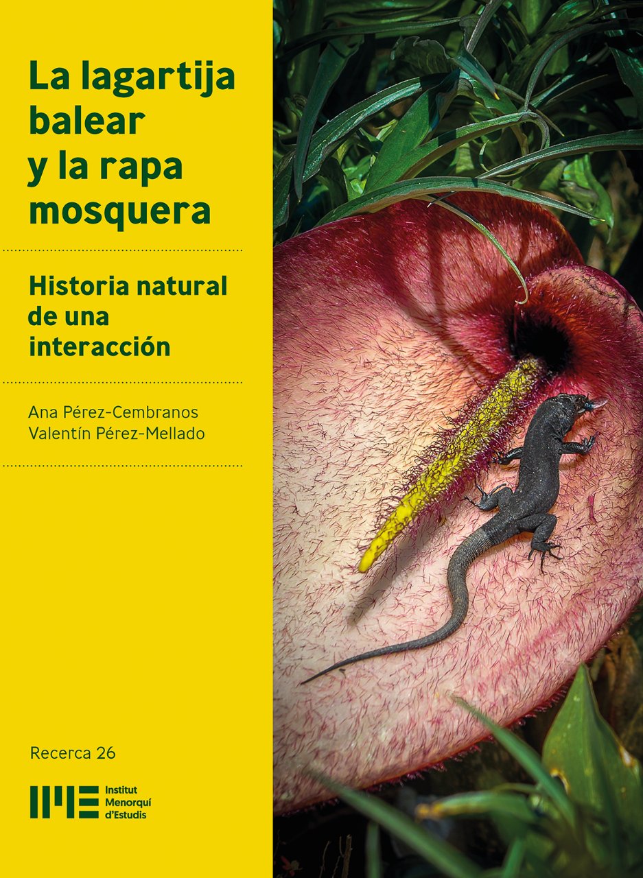 LA LAGARTIJA BALEAR Y LA RAPA MOSQUERA. HISTORIA NATURAL DE UNA INTERACCIÓN 1