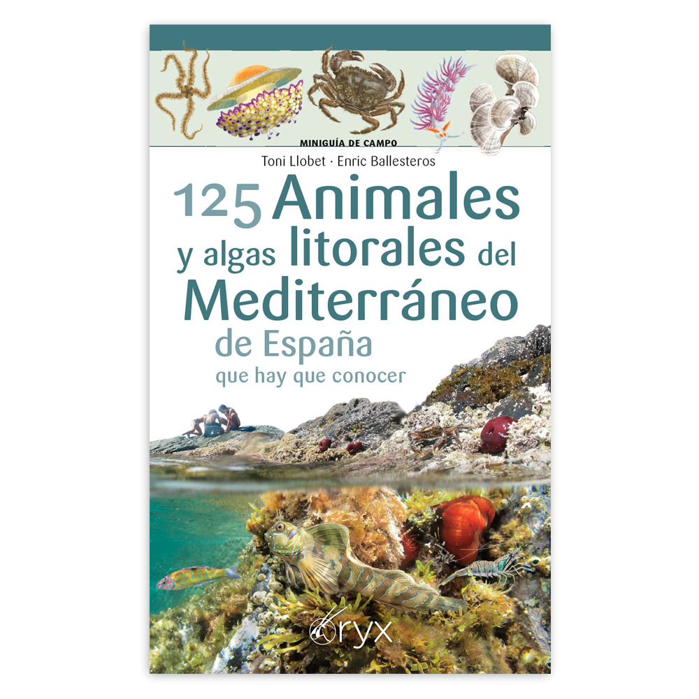 125 ANIMALES Y ALGAS LITORALES DEL MEDITERRÁNEO DE ESPAÑA QUE HAY QUE CONOCER. MINIGUÍA DE CAMPO 1