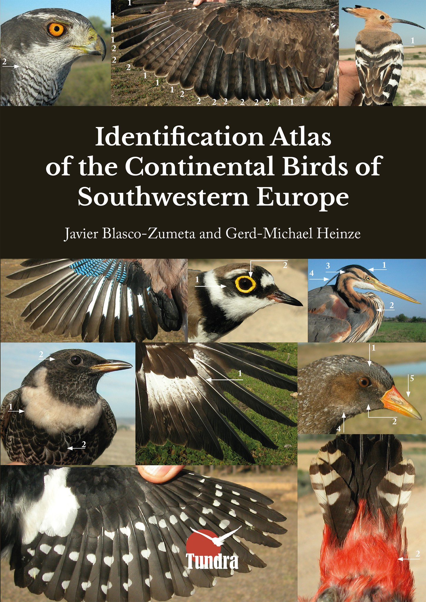 IDENTIFICATION ATLAS OF THE CONTINENTAL BIRDS OF SOUTHWESTERN EUROPE 1