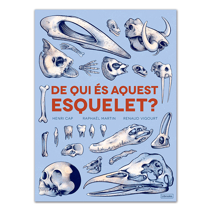 DE QUI ES AQUEST ESQUELET?