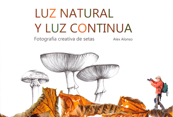 LUZ NATURAL Y LUZ CONTINUA. FOTOGRAFÍA CREATIVA DE SETAS 1