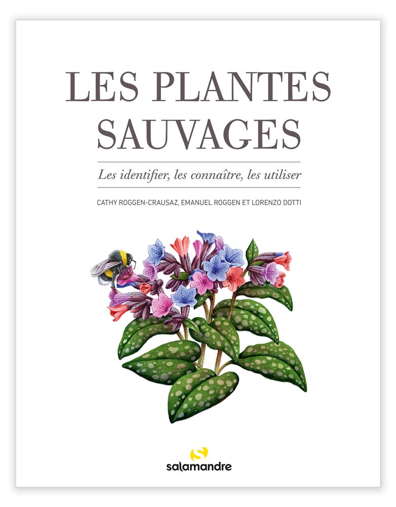 LES PLANTES SAUVAGES. LES IDENTIFIER, LES CONNAÎTRE, LES UTILISER